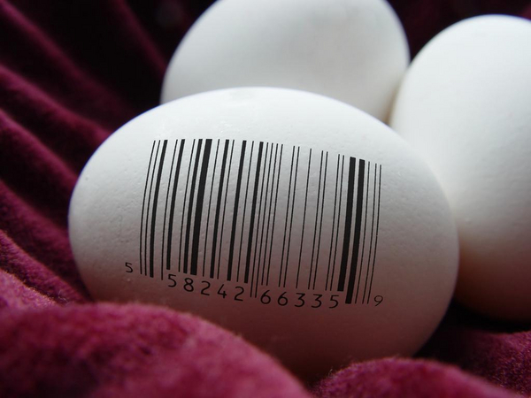 ägg med streckkod ägg med streckkod